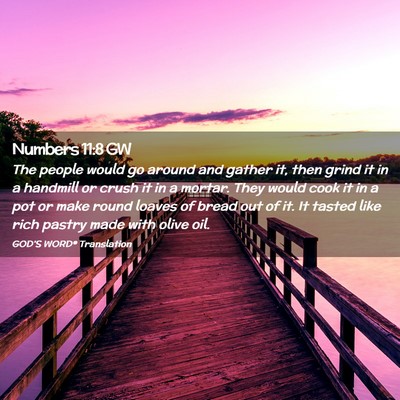 Picture 02 - Numbers 11:8 GW - The people would go around and gather it, then - Bible Verse Picture