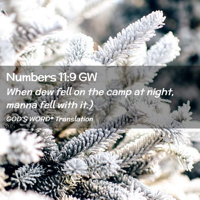 Picture 02 - Numbers 11:9 GW - When dew fell on the camp at night, manna fell - Bible Verse Picture
