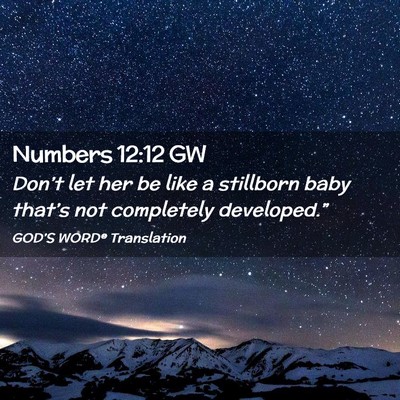 Picture 02 - Numbers 12:12 GW - Don’t let her be like a stillborn baby that’s - Bible Verse Picture