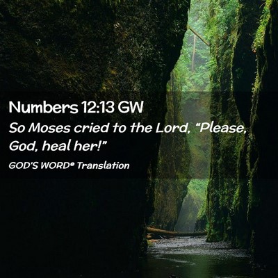 Picture 02 - Numbers 12:13 GW - So Moses cried to the Lord, “Please, God, heal - Bible Verse Picture