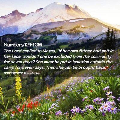 Picture 02 - Numbers 12:14 GW - The Lord replied to Moses, “If her own father - Bible Verse Picture