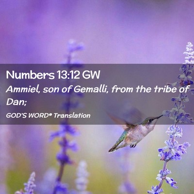 Picture 02 - Numbers 13:12 GW - Ammiel, son of Gemalli, from the tribe of - Bible Verse Picture
