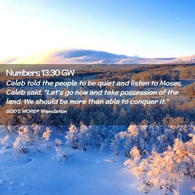 Picture 02 - Numbers 13:30 GW - Caleb told the people to be quiet and listen to - Bible Verse Picture