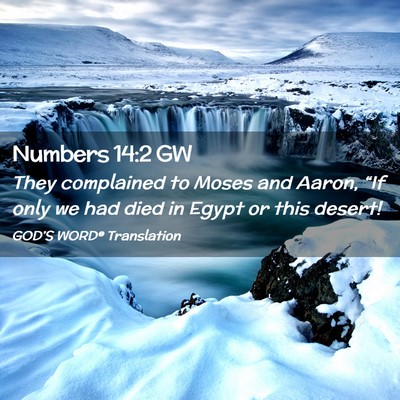 Picture 02 - Numbers 14:2 GW - They complained to Moses and Aaron, “If only we - Bible Verse Picture