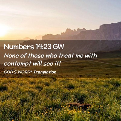 Picture 02 - Numbers 14:23 GW - None of those who treat me with contempt will see - Bible Verse Picture
