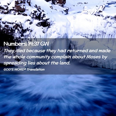 Picture 02 - Numbers 14:37 GW - They died because they had returned and made the - Bible Verse Picture