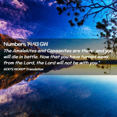 Picture 02 - Numbers 14:43 GW - The Amalekites and Canaanites are there, and you - Bible Verse Picture