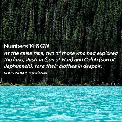 Picture 02 - Numbers 14:6 GW - At the same time, two of those who had explored - Bible Verse Picture