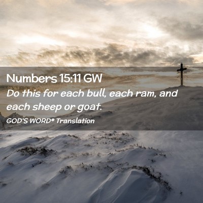 Picture 02 - Numbers 15:11 GW - Do this for each bull, each ram, and each sheep - Bible Verse Picture