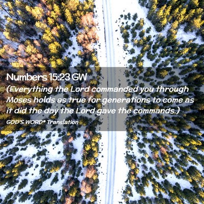 Picture 02 - Numbers 15:23 GW - (Everything the Lord commanded you through Moses - Bible Verse Picture