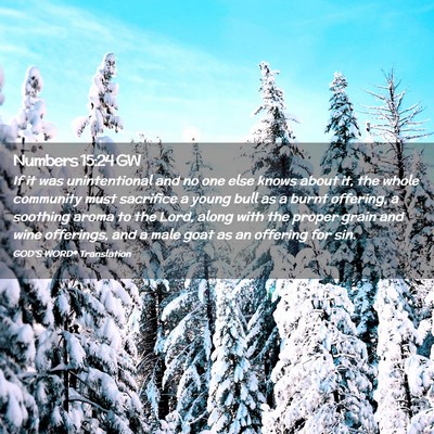 Picture 02 - Numbers 15:24 GW - If it was unintentional and no one else knows - Bible Verse Picture