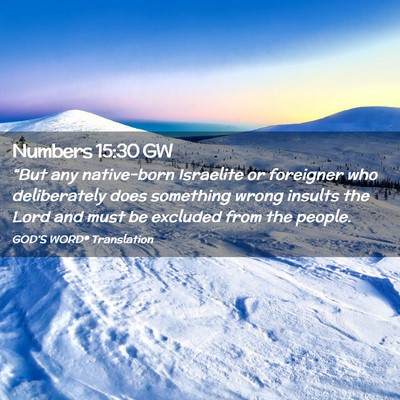 Picture 02 - Numbers 15:30 GW - “But any native-born Israelite or foreigner who - Bible Verse Picture
