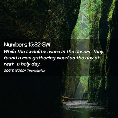 Picture 02 - Numbers 15:32 GW - While the Israelites were in the desert, they - Bible Verse Picture