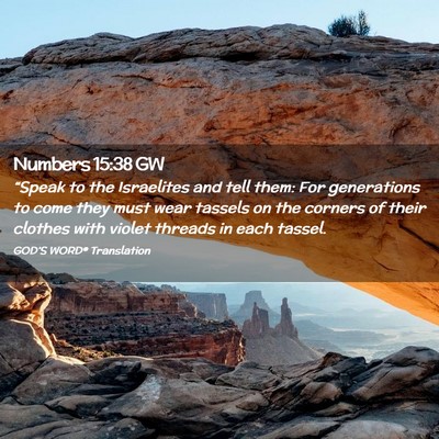 Picture 02 - Numbers 15:38 GW - “Speak to the Israelites and tell them: For - Bible Verse Picture