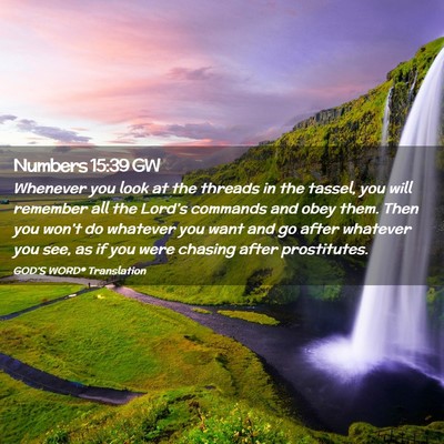 Picture 02 - Numbers 15:39 GW - Whenever you look at the threads in the tassel, - Bible Verse Picture