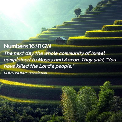 Picture 02 - Numbers 16:41 GW - The next day the whole community of Israel - Bible Verse Picture