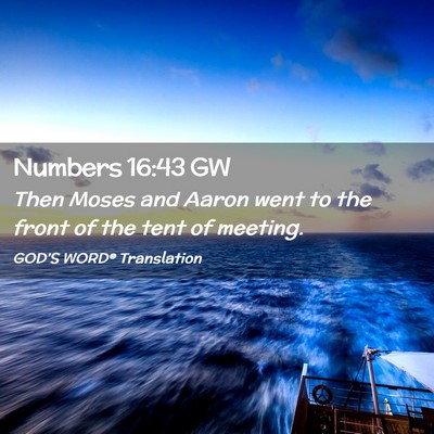 Picture 02 - Numbers 16:43 GW - Then Moses and Aaron went to the front of the - Bible Verse Picture
