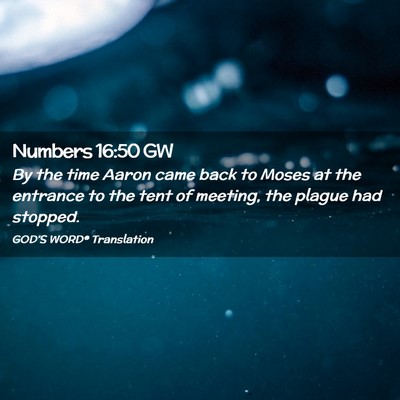 Picture 02 - Numbers 16:50 GW - By the time Aaron came back to Moses at the - Bible Verse Picture