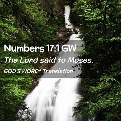 Picture 02 - Numbers 17:1 GW - The Lord said to - Bible Verse Picture