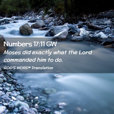 Picture 02 - Numbers 17:11 GW - Moses did exactly what the Lord commanded him to - Bible Verse Picture