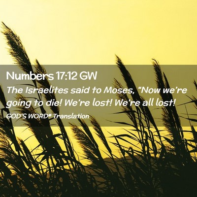 Picture 02 - Numbers 17:12 GW - The Israelites said to Moses, “Now we’re - Bible Verse Picture