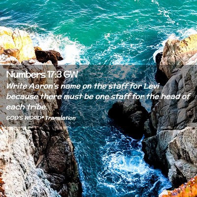 Picture 02 - Numbers 17:3 GW - Write Aaron’s name on the staff for Levi - Bible Verse Picture