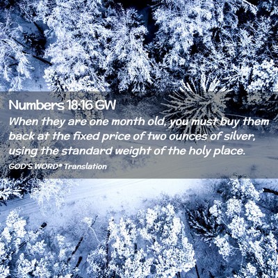 Picture 02 - Numbers 18:16 GW - When they are one month old, you must buy them - Bible Verse Picture