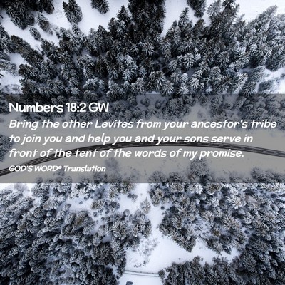 Picture 02 - Numbers 18:2 GW - Bring the other Levites from your ancestor’s - Bible Verse Picture