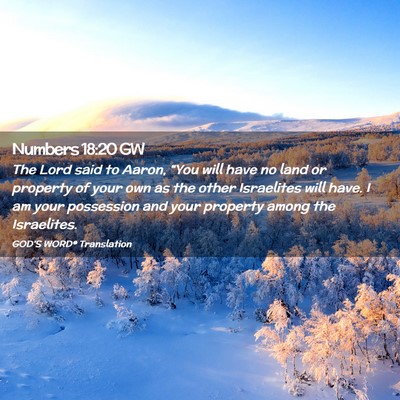 Picture 02 - Numbers 18:20 GW - The Lord said to Aaron, “You will have no land - Bible Verse Picture