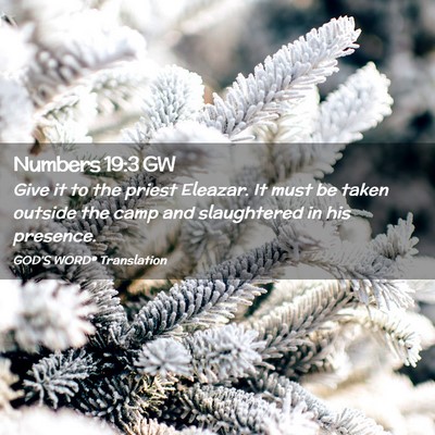 Picture 02 - Numbers 19:3 GW - Give it to the priest Eleazar. It must be taken - Bible Verse Picture