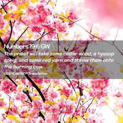 Picture 02 - Numbers 19:6 GW - The priest will take some cedar wood, a hyssop - Bible Verse Picture