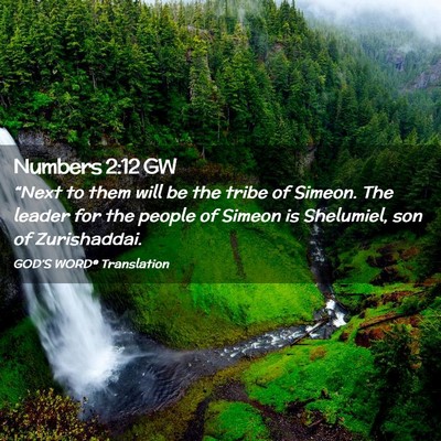 Picture 02 - Numbers 2:12 GW - “Next to them will be the tribe of Simeon. The - Bible Verse Picture