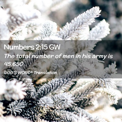 Picture 02 - Numbers 2:15 GW - The total number of men in his army is - Bible Verse Picture