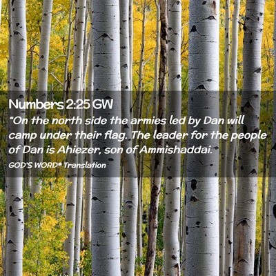 Picture 02 - Numbers 2:25 GW - “On the north side the armies led by Dan will - Bible Verse Picture