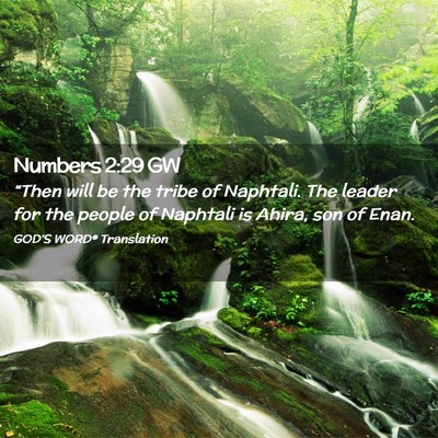 Picture 02 - Numbers 2:29 GW - “Then will be the tribe of Naphtali. The leader - Bible Verse Picture