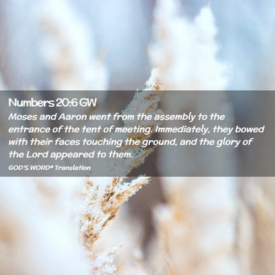 Picture 02 - Numbers 20:6 GW - Moses and Aaron went from the assembly to the - Bible Verse Picture