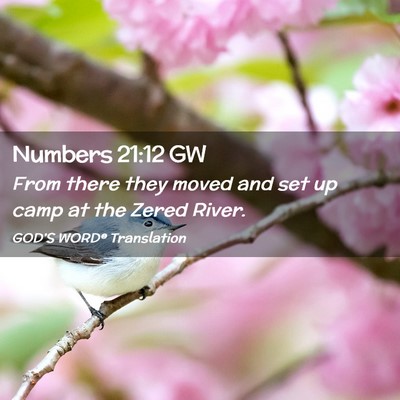 Picture 02 - Numbers 21:12 GW - From there they moved and set up camp at the - Bible Verse Picture