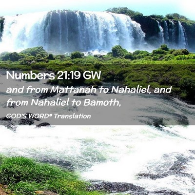 Picture 02 - Numbers 21:19 GW - and from Mattanah to Nahaliel, and from Nahaliel - Bible Verse Picture