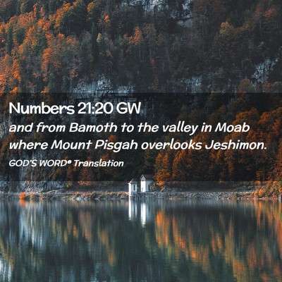 Picture 02 - Numbers 21:20 GW - and from Bamoth to the valley in Moab where Mount - Bible Verse Picture