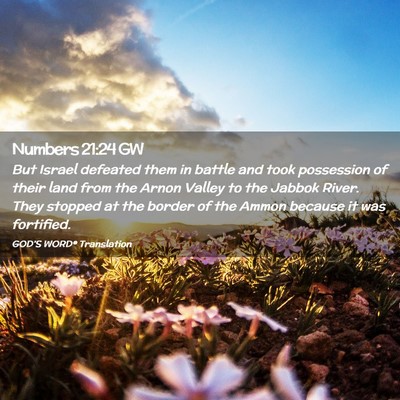 Picture 02 - Numbers 21:24 GW - But Israel defeated them in battle and took - Bible Verse Picture