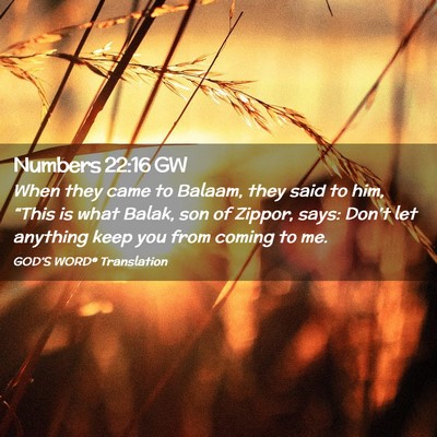 Picture 02 - Numbers 22:16 GW - When they came to Balaam, they said to him, - Bible Verse Picture
