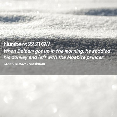 Picture 02 - Numbers 22:21 GW - When Balaam got up in the morning, he saddled his - Bible Verse Picture