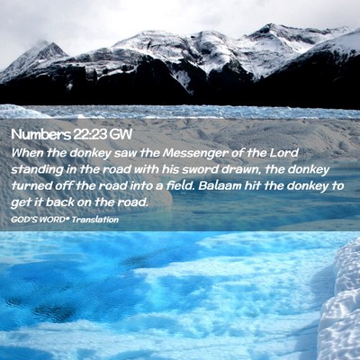 Picture 02 - Numbers 22:23 GW - When the donkey saw the Messenger of the Lord - Bible Verse Picture