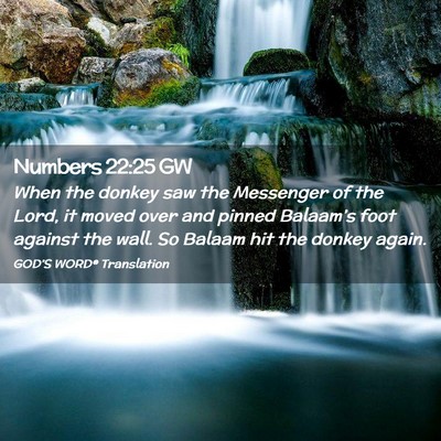 Picture 02 - Numbers 22:25 GW - When the donkey saw the Messenger of the Lord, it - Bible Verse Picture