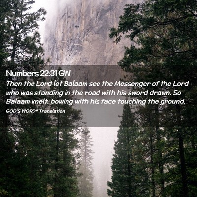 Picture 02 - Numbers 22:31 GW - Then the Lord let Balaam see the Messenger of the - Bible Verse Picture