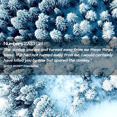 Picture 02 - Numbers 22:33 GW - The donkey saw me and turned away from me these - Bible Verse Picture