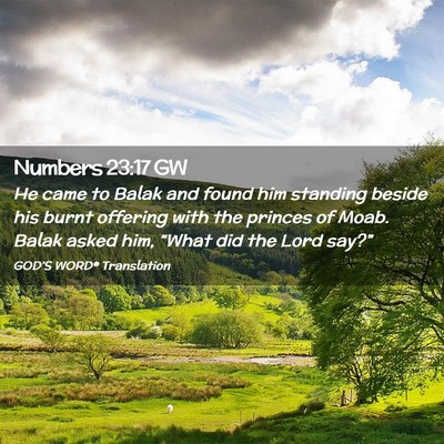 Picture 02 - Numbers 23:17 GW - He came to Balak and found him standing beside - Bible Verse Picture