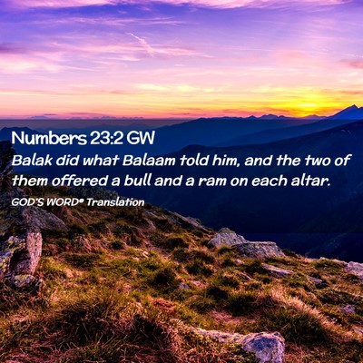 Picture 02 - Numbers 23:2 GW - Balak did what Balaam told him, and the two of - Bible Verse Picture