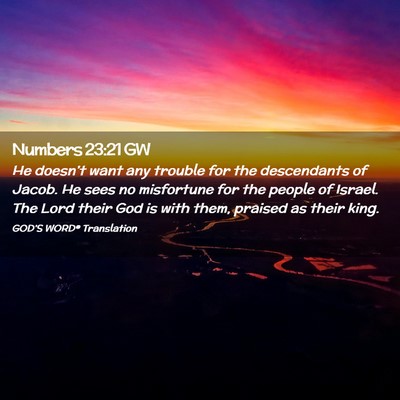 Picture 02 - Numbers 23:21 GW - He doesn’t want any trouble for the descendants - Bible Verse Picture