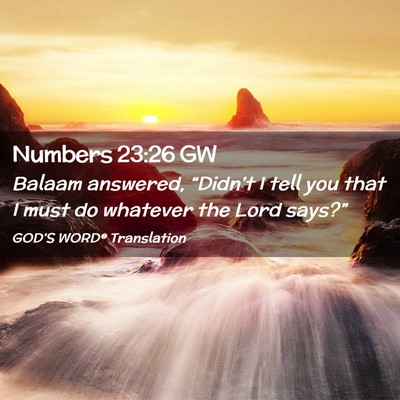 Picture 02 - Numbers 23:26 GW - Balaam answered, “Didn’t I tell you that I - Bible Verse Picture